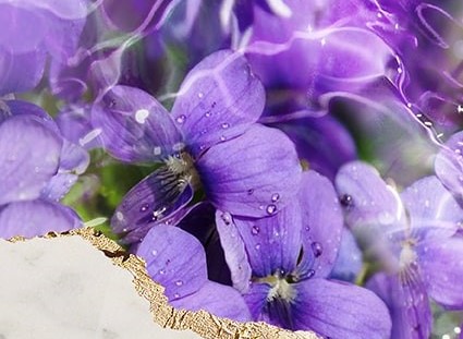 Boutique - White Room Beauty | Beauty Salon | Knightsbridge